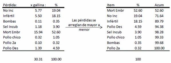 Modelo conceptual de pérdidas productivas en reproductoras e incubadoras - Image 8