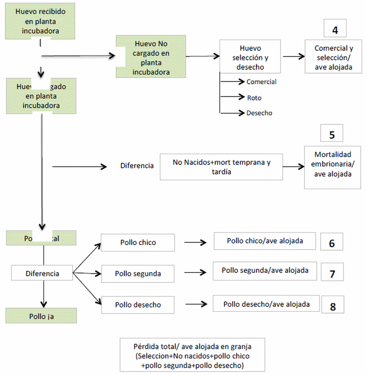 Modelo conceptual de pérdidas productivas en reproductoras e incubadoras - Image 4