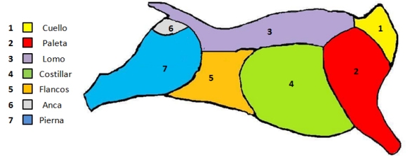 Factores que inciden sobre la frecuencia de defectos físicos causantes de decomisos parciales en canales bovinas de distinto origen y clase sexual y sus implicaciones económicas - Image 2