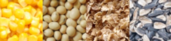 Contaminación microbiológica de materias primas, piensos, superficies de fábricas y micotoxinas - Image 4