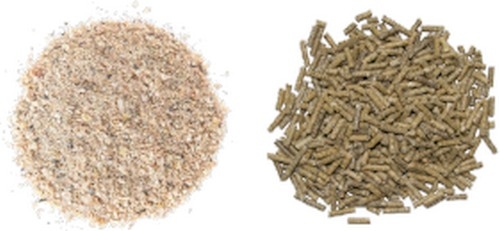 Contaminación microbiológica de materias primas, piensos, superficies de fábricas y micotoxinas - Image 7