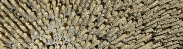 Contaminación microbiológica de materias primas, piensos, superficies de fábricas y micotoxinas - Image 12