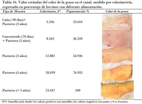 Utilización de la caña de azúcar en la alimentación bovina, el desarrollo de sus tecnologías y la alternativa para los periodos de sequía - Image 19