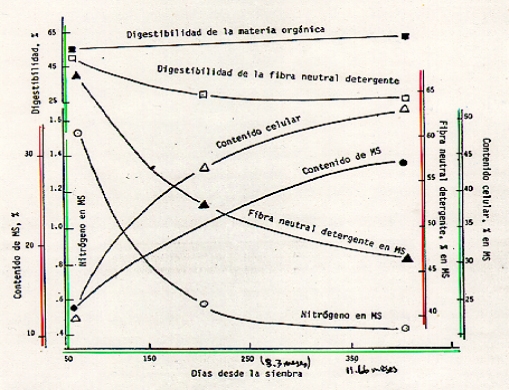 Utilización de la caña de azúcar en la alimentación bovina, el desarrollo de sus tecnologías y la alternativa para los periodos de sequía - Image 8