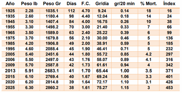 Manejo inicial del pollito y su repercusión en los resultados productivos - Image 2
