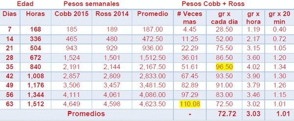 Manejo inicial del pollito y su repercusión en los resultados productivos - Image 3