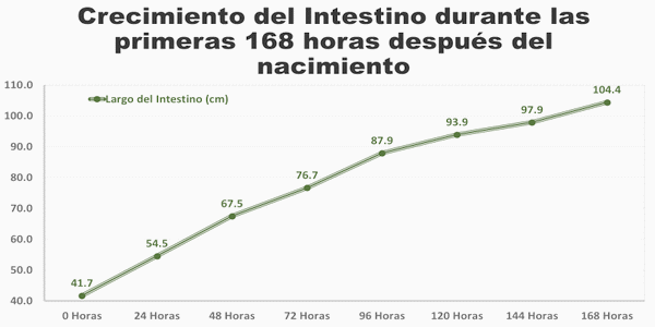 Manejo inicial del pollito y su repercusión en los resultados productivos - Image 5