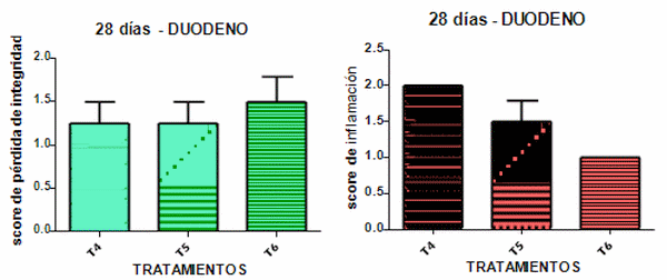 Efecto sobre la mucosa intestinal de un antibiótico y un extracto vegetal polifenólico en pollos inoculados con Salmonella Enteritidis - Image 12
