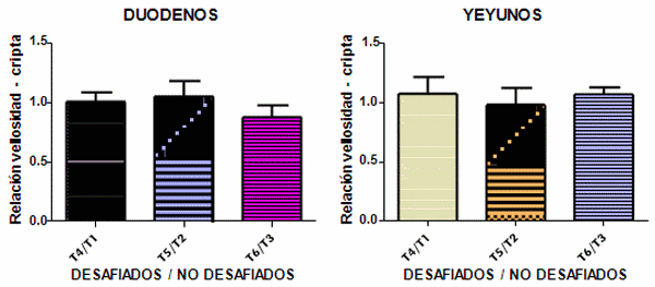 Efecto sobre la mucosa intestinal de un antibiótico y un extracto vegetal polifenólico en pollos inoculados con Salmonella Enteritidis - Image 14