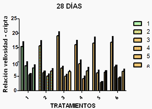 Efecto sobre la mucosa intestinal de un antibiótico y un extracto vegetal polifenólico en pollos inoculados con Salmonella Enteritidis - Image 13