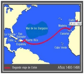 Origen de las aves, Cuarta Parte: Cómo llegó la gallina al continente americano - Image 6