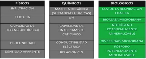 El gran reto de la agricultura moderna: Los suelos sanos - Image 1