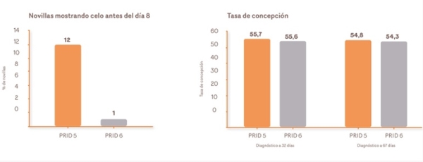 Mejora de la sincronización de novillas retirando el dispositivo a los 6 días en un Cosynch de 5 d con PRID - Image 2