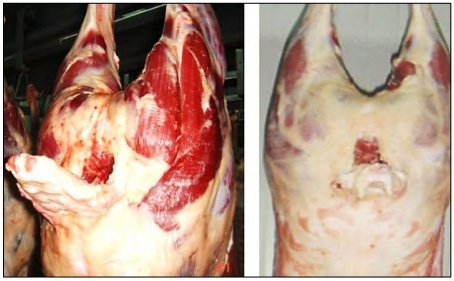 Características fisicoquímicas, sensoriales y microbiológicas de la carne de ovino con diferente tiempo de reposo - Image 1