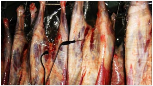 Características fisicoquímicas, sensoriales y microbiológicas de la carne de ovino con diferente tiempo de reposo - Image 2
