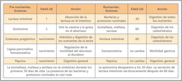 Uso de compuestos prebióticos y probióticos para tratamiento de enteritis inespecíficas en terneros lactantes de raza Holstein (Parte I) - Image 2