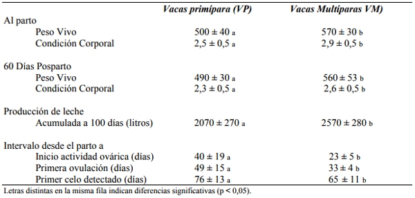 Función ovárica posparto en vacas lecheras primíparas y multíparas - Image 1