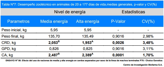 Efecto del uso de raciones con diferentes niveles de energía en cerdos separados por sexo de la línea de machos terminales P76 – Choice Genetics de destete a venta - Image 7