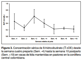 Indicadores bioquímicos sanguíneos en ganado de lidia mantenido en pastoreo en la cordillera central colombiana - Image 6