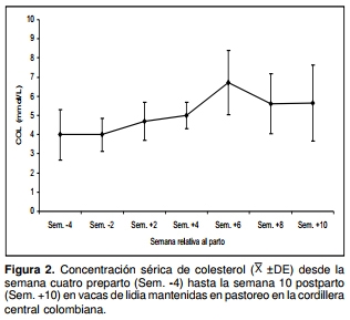 Indicadores bioquímicos sanguíneos en ganado de lidia mantenido en pastoreo en la cordillera central colombiana - Image 5
