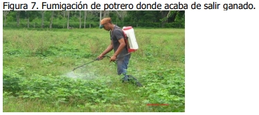 Implementación de rotación de potreros - Image 7