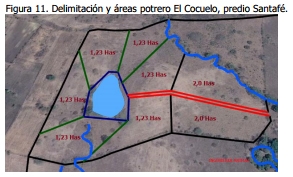 Implementación de rotación de potreros - Image 15