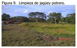 Implementación de rotación de potreros - Image 13