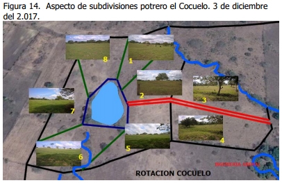 Implementación de rotación de potreros - Image 17