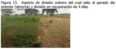 Implementación de rotación de potreros - Image 16