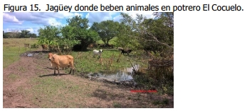 Implementación de rotación de potreros - Image 18