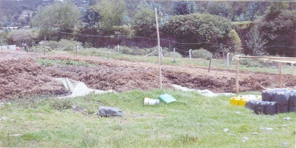 Utilización racional de los residuos de cosecha - Image 5