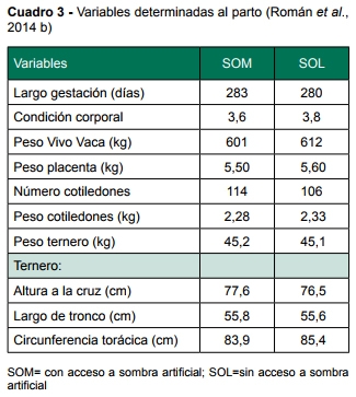 Estrés térmico en vacas lecheras: con sombra y bienestar las vacas producen más - Image 7