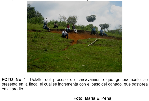 Practica de construccion de trinchos en guadua (guadua angustifolia), como tecnicas mecanicas para la recuperacion de suelos en el municipio de jamundi (Valle del Cauca. Colombia) - Image 1