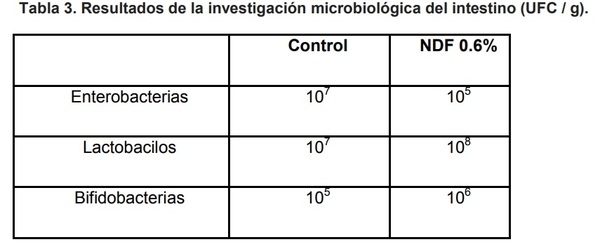 Un enfoque estratégico para el control de Salmonella en aves de corral - Image 3