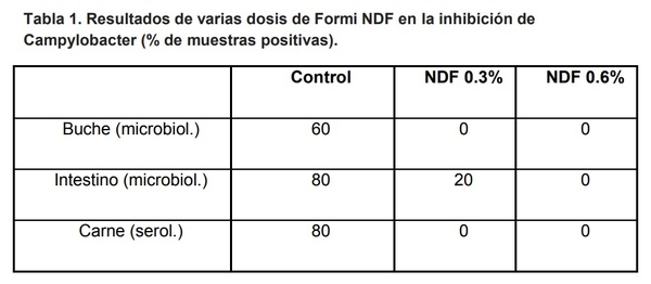 Un enfoque estratégico para el control de Salmonella en aves de corral - Image 1