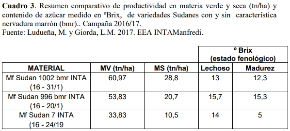 Nuevos desarrollos: variedades e híbridos forrajeros - Image 10
