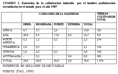 Caracterización y manejo de suelos y aguas afectadas por sales - Image 1