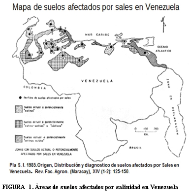 Caracterización y manejo de suelos y aguas afectadas por sales - Image 2