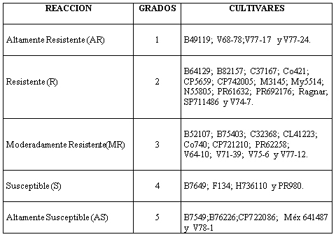 Caracterización y manejo de suelos y aguas afectadas por sales - Image 19