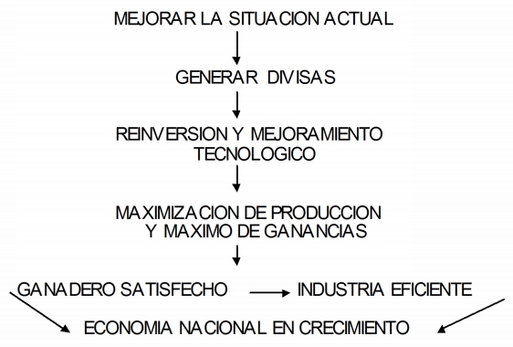 Manejo de la alimentacion en ganaderia intensiva - Image 26