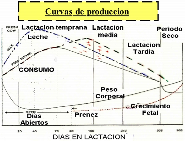 Manejo de la alimentacion en ganaderia intensiva - Image 5