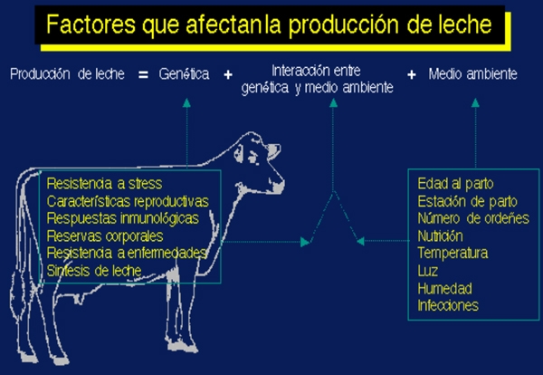 Manejo de la alimentacion en ganaderia intensiva - Image 2
