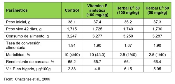 Beneficios de la suplementación con Vitamina E natural - Image 3