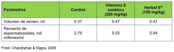 Beneficios de la suplementación con Vitamina E natural - Image 5