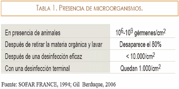 Plan de erradicación de disentería en una granja porcina - Image 15