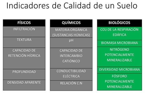 Consorcios microbianos y bio-control equilibrado de plagas y enfermedades - Image 5