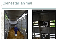 Perspectivas de la Carne bovina para México y el Mundo 2017 - Image 13