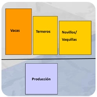 Perspectivas de la Carne bovina para México y el Mundo 2017 - Image 9