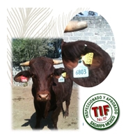 Perspectivas de la Carne bovina para México y el Mundo 2017 - Image 12