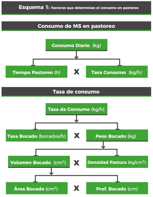 Estrategias de alimentación de vacas lecheras en pastoreo: ¿qué hemos aprendido de los sistemas comerciales y qué hemos generado desde la investigación en uruguay? - Image 5